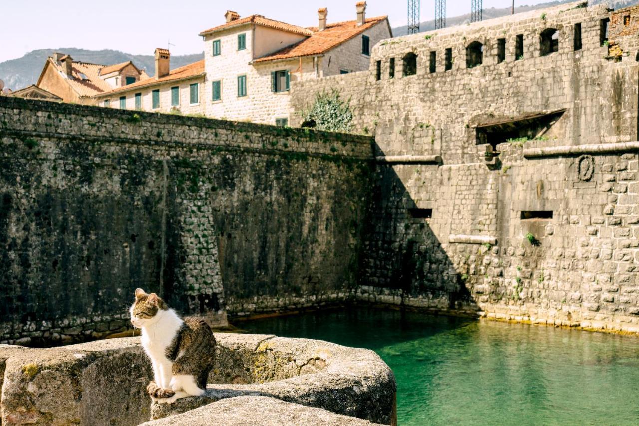 D & Sons Apartments Kotor Ngoại thất bức ảnh